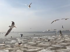 -老虎石海上公园