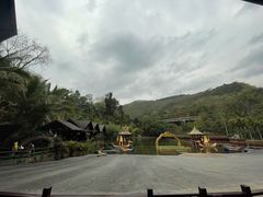 -西双版纳原始森林公园