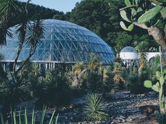 -深圳仙湖植物园