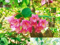 -大连冰峪旅游度假区