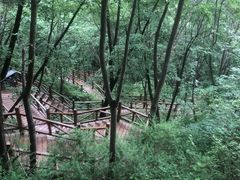 -大岭沟猕猴桃谷风景区