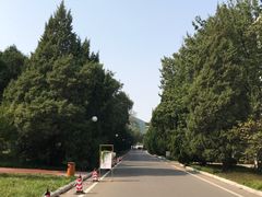 -南郊宾馆·风味自助餐厅·山东十六地市特色菜