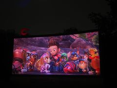 -枫花园汽车电影院(朝阳公园店)