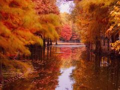 -尚湖风景区