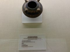 -宁夏博物馆