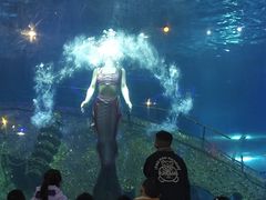 -太奥幻太奇海洋馆