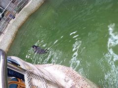 iphone_upload_pic-绿色时代大酒店