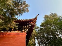 -洛阳白马寺