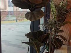 -海泰食府·新鲁菜·家宴(总部基地店)