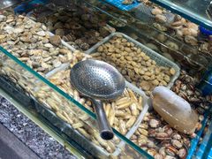 -渔码头食府·20年蓬莱老字号(登州路店)