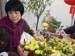 -苏州市吴中区光福窑上花果蜜饯厂