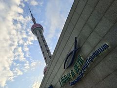 -上海海洋水族馆