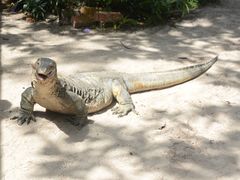 -东姑阿都拉曼海洋公园