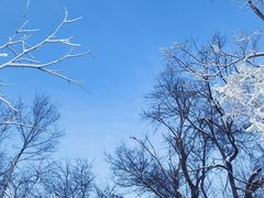 -长春净月潭风景名胜区