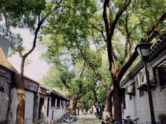 -北京市东城区东四九条小学