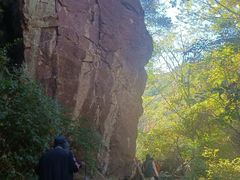 -云岫谷自然风景区