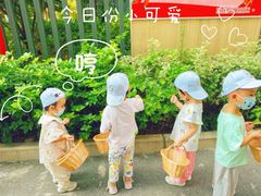 -哈沐德国际托育早教(保利城旗舰店)