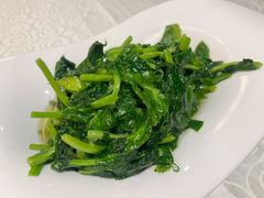 清炒豌豆尖-辣婆婆(航天桥店)