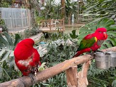 -南宫五洲植物乐园