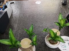 -鹿岛会员店 (龙湖三千集天街店)