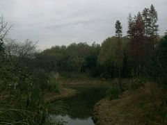 -昆山城市生态森林公园