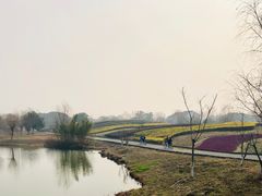-梁鸿国家湿地公园