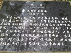 -重庆抗战遗址博物馆