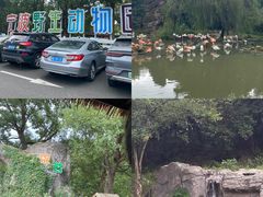 -宁波野生动物园