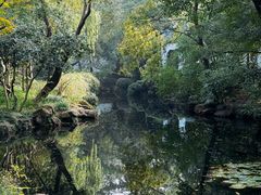 -秋霞圃
