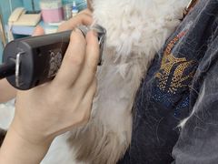 -北京观赏动物医院·24小时大型综合·猫专科·异宠专科