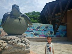 -广东惠东海龟国家级自然保护区