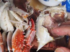 -渡海小渔村.老辈日照菜