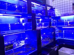 -港迹·鲜围煮海鲜火锅(湖州时代广场店)