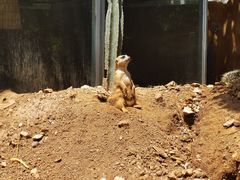 -青岛森林野生动物世界