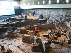 -自贡恐龙博物馆