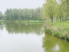 -东郊湿地公园