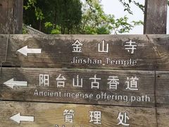 -阳台山自然风景区