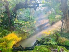 -Chom Cafe and Restaurant