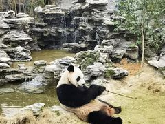-杭州野生动物世界