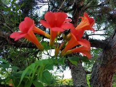 -威海华夏城景区