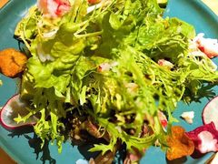 -綱元·海鲜豆捞(明州里店)