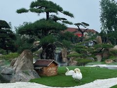 -罗红摄影艺术馆