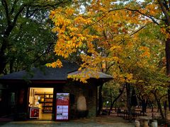 -国家植物园南园