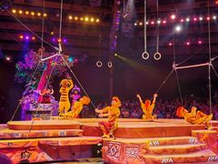 -奥兰多迪士尼动物王国乐园