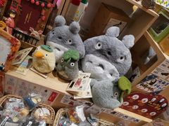 -猫的天空之城概念书店(印象城购物中心店)