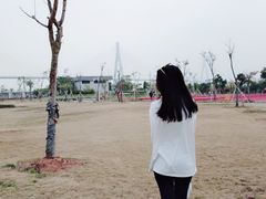 -芒洲湿地公园
