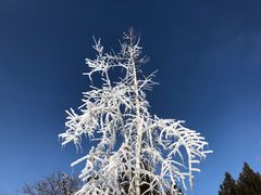 -南宫温泉水世界