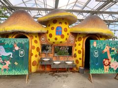 -南宫五洲植物乐园