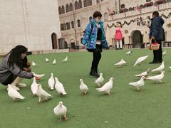 -华谊兄弟（长沙）电影小镇