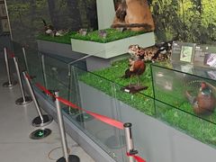 -房山世界地质公园博物馆